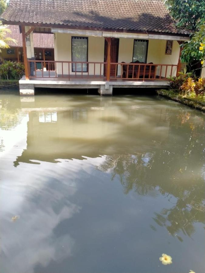 Villa Uma Ayu Sidemen Сидемен Экстерьер фото