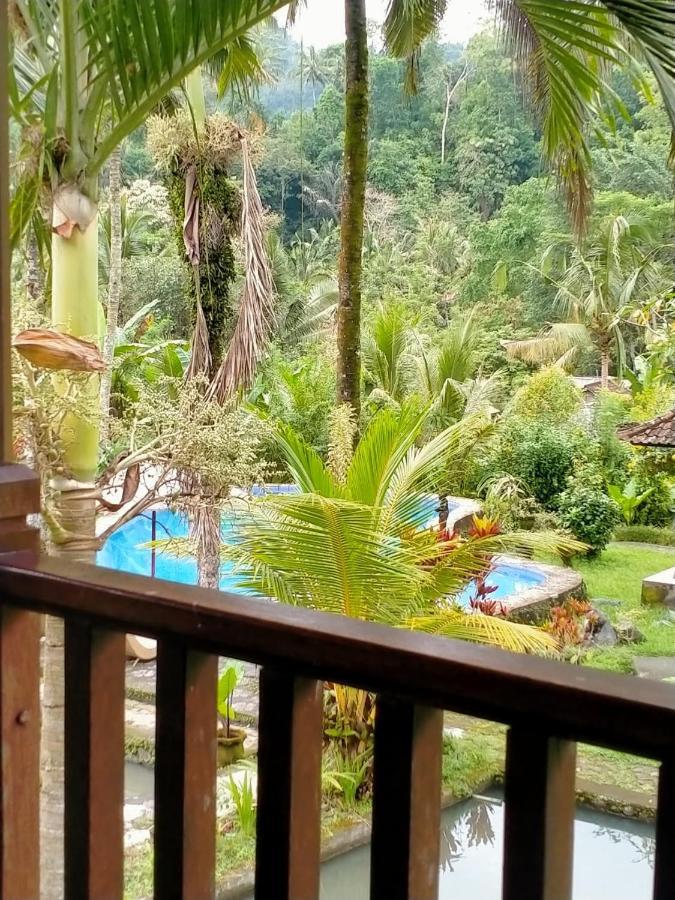 Villa Uma Ayu Sidemen Сидемен Экстерьер фото
