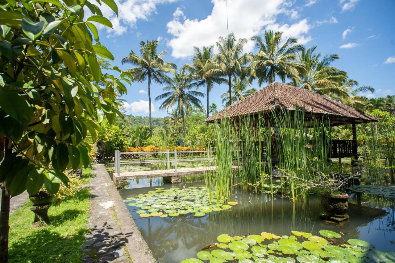 Villa Uma Ayu Sidemen Сидемен Экстерьер фото