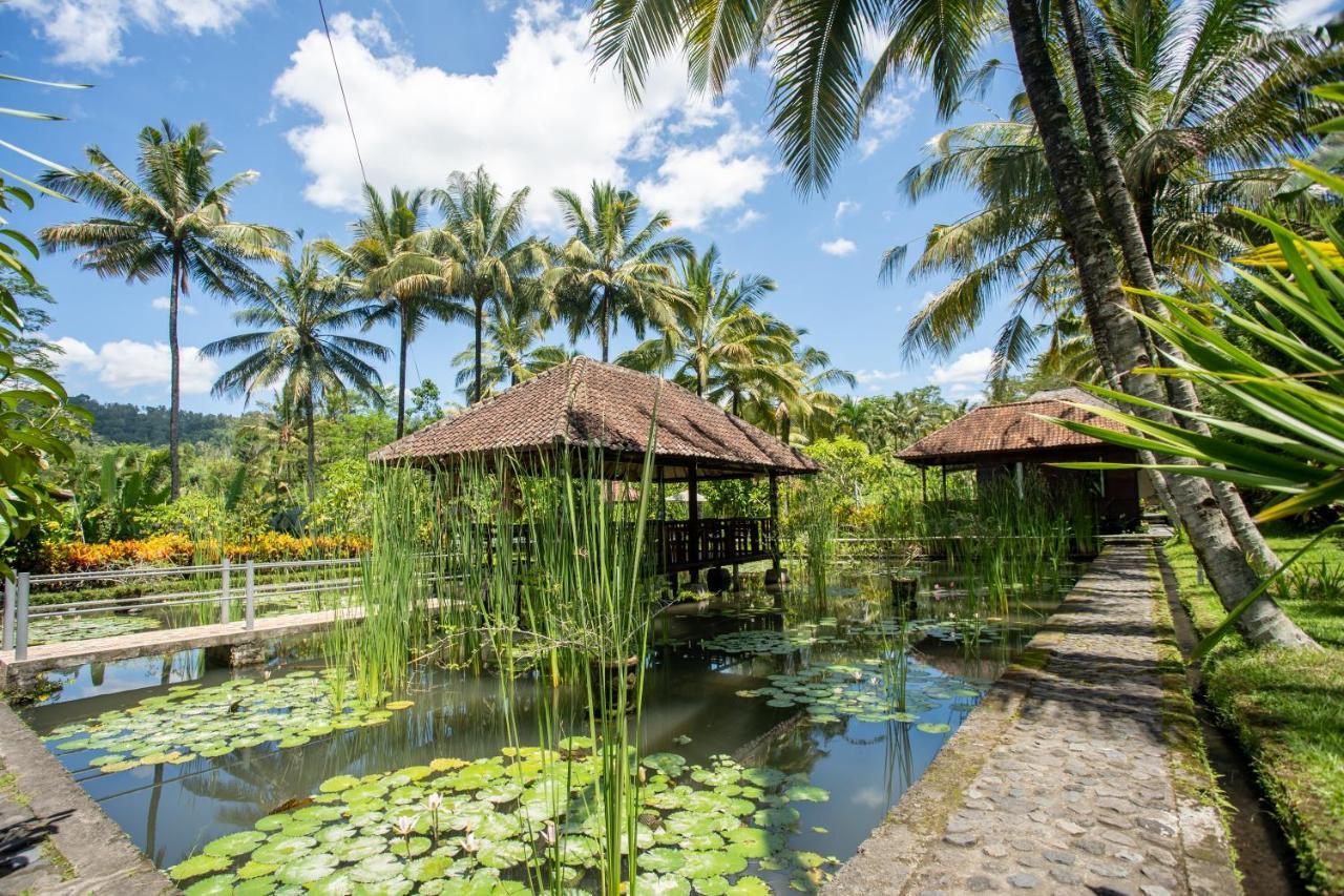 Villa Uma Ayu Sidemen Сидемен Экстерьер фото